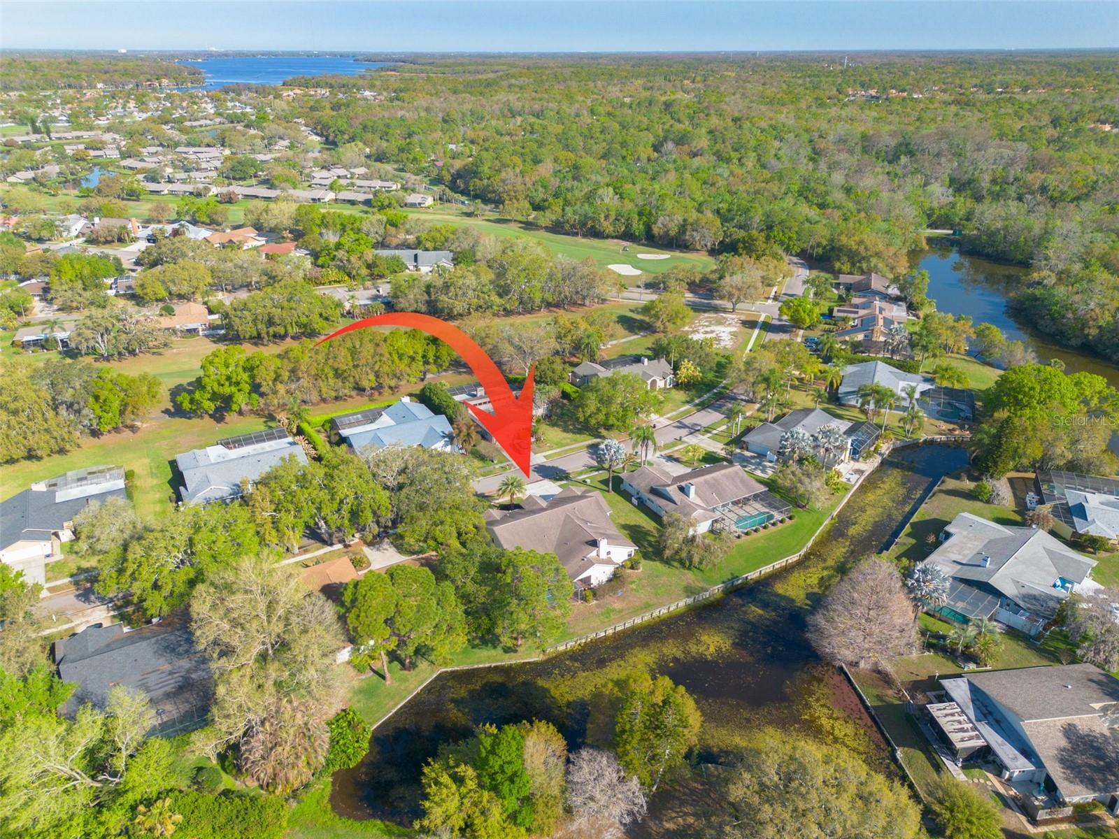 470 HICKORYNUT AVE, OLDSMAR, FL — photo 30