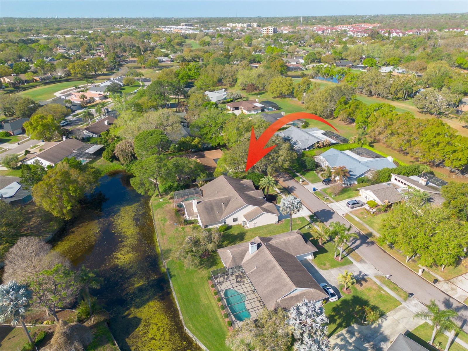 470 HICKORYNUT AVE, OLDSMAR, FL — photo 31
