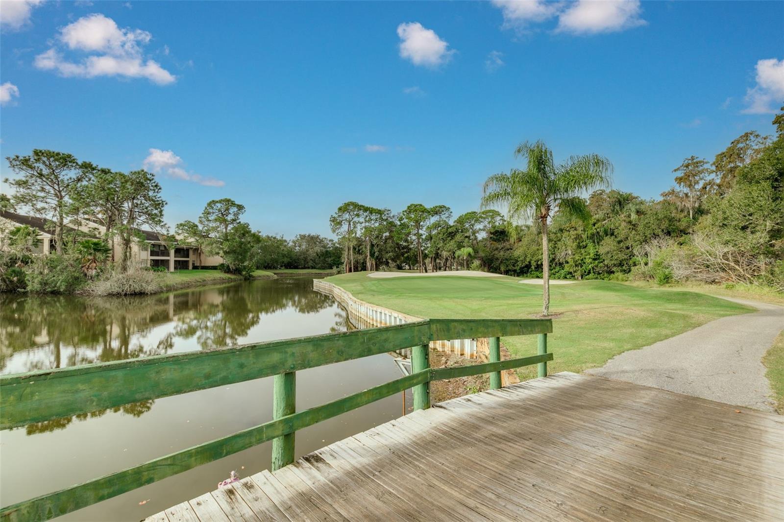 470 HICKORYNUT AVE, OLDSMAR, FL — photo 33