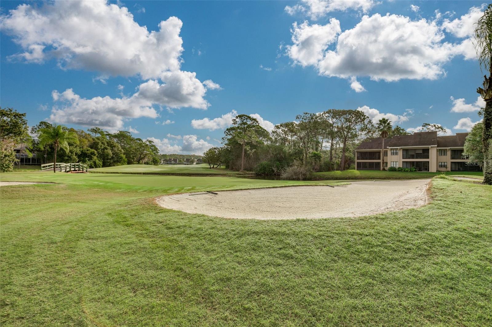 470 HICKORYNUT AVE, OLDSMAR, FL — photo 35
