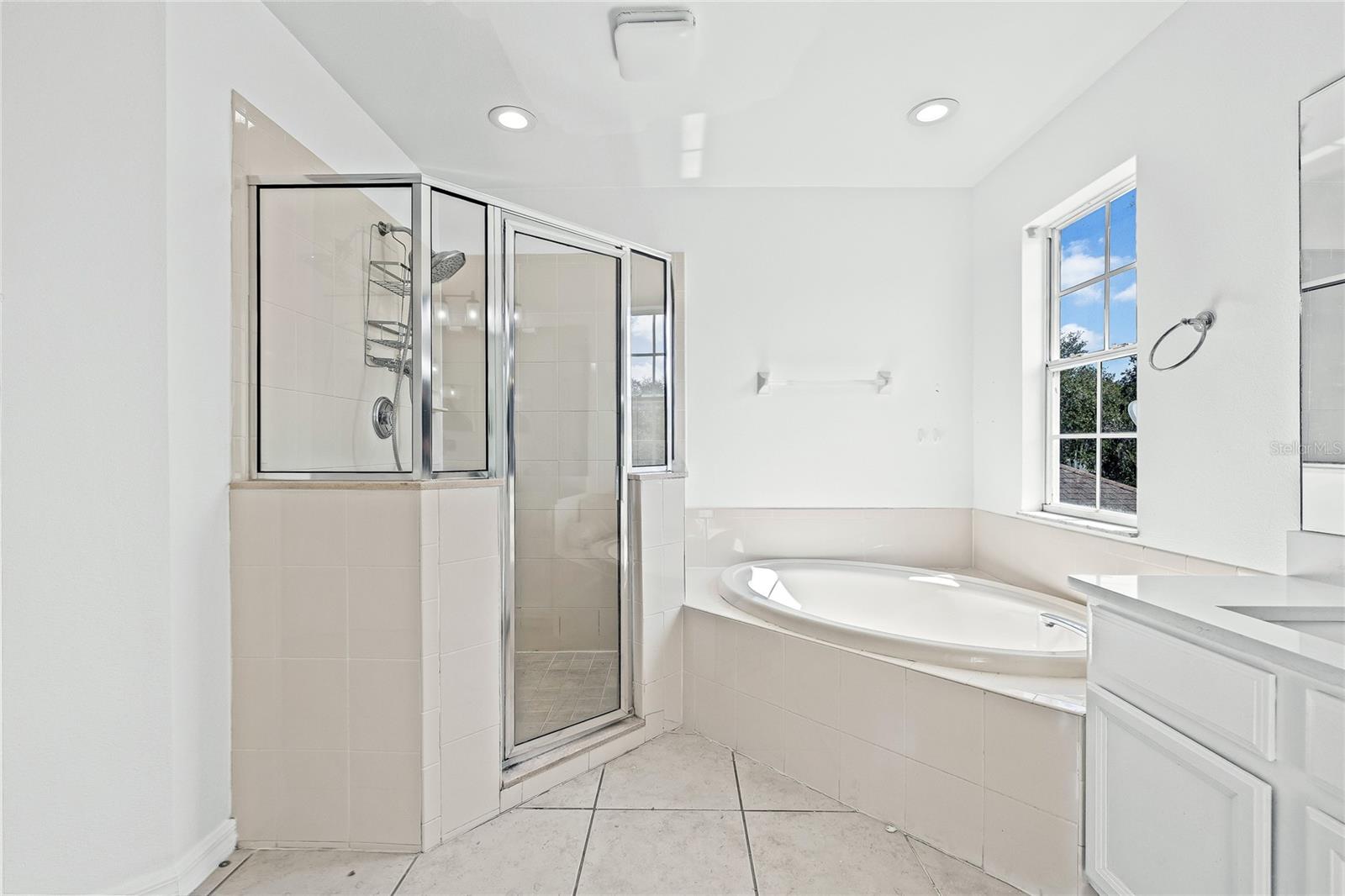 8212 CYPRESS BREEZE WAY, TAMPA, FL — photo 38
