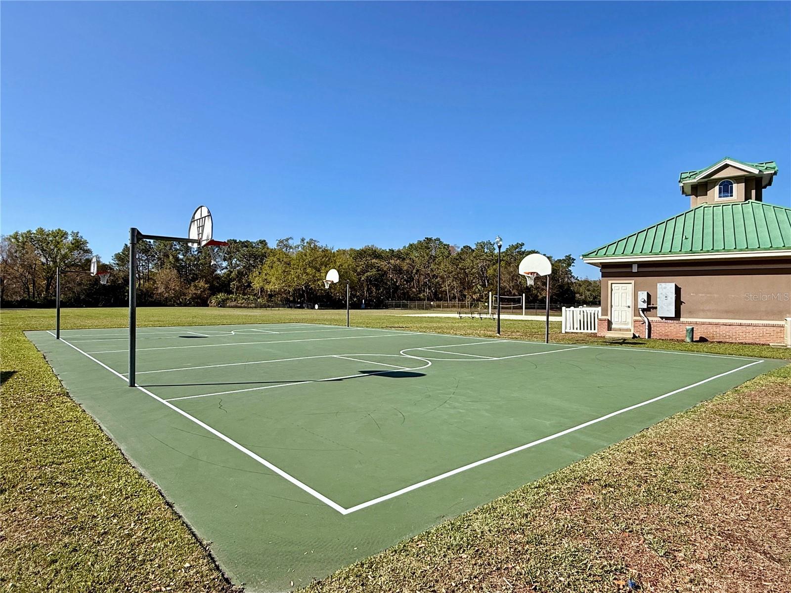 8212 CYPRESS BREEZE WAY, TAMPA, FL — photo 71