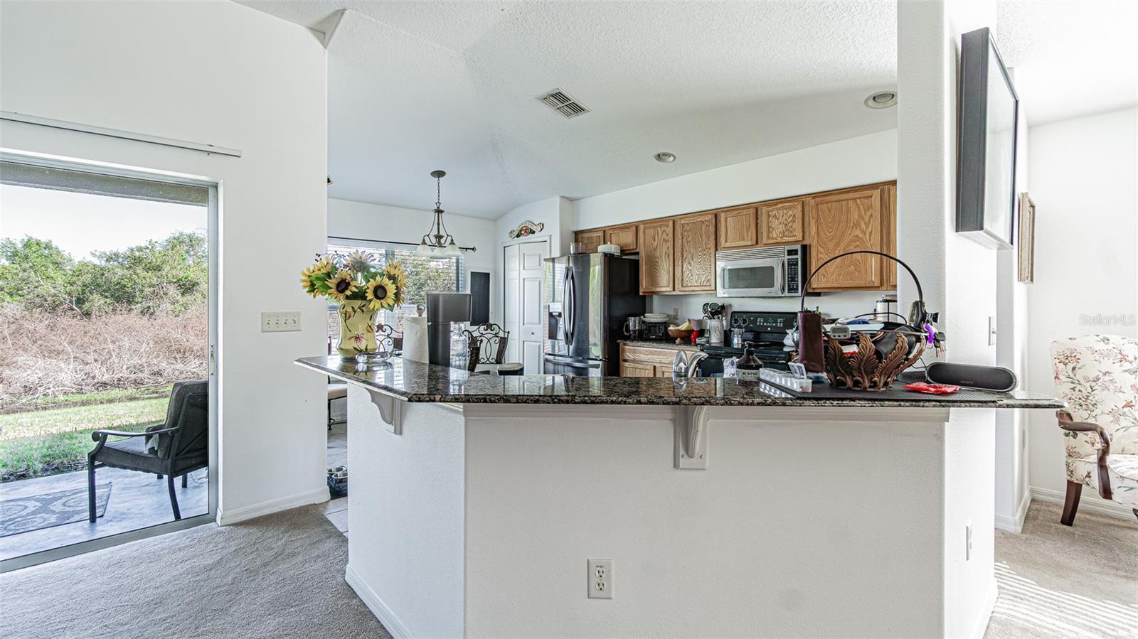 29407 SNAP HOOK DR, SAN ANTONIO, FL — photo 8