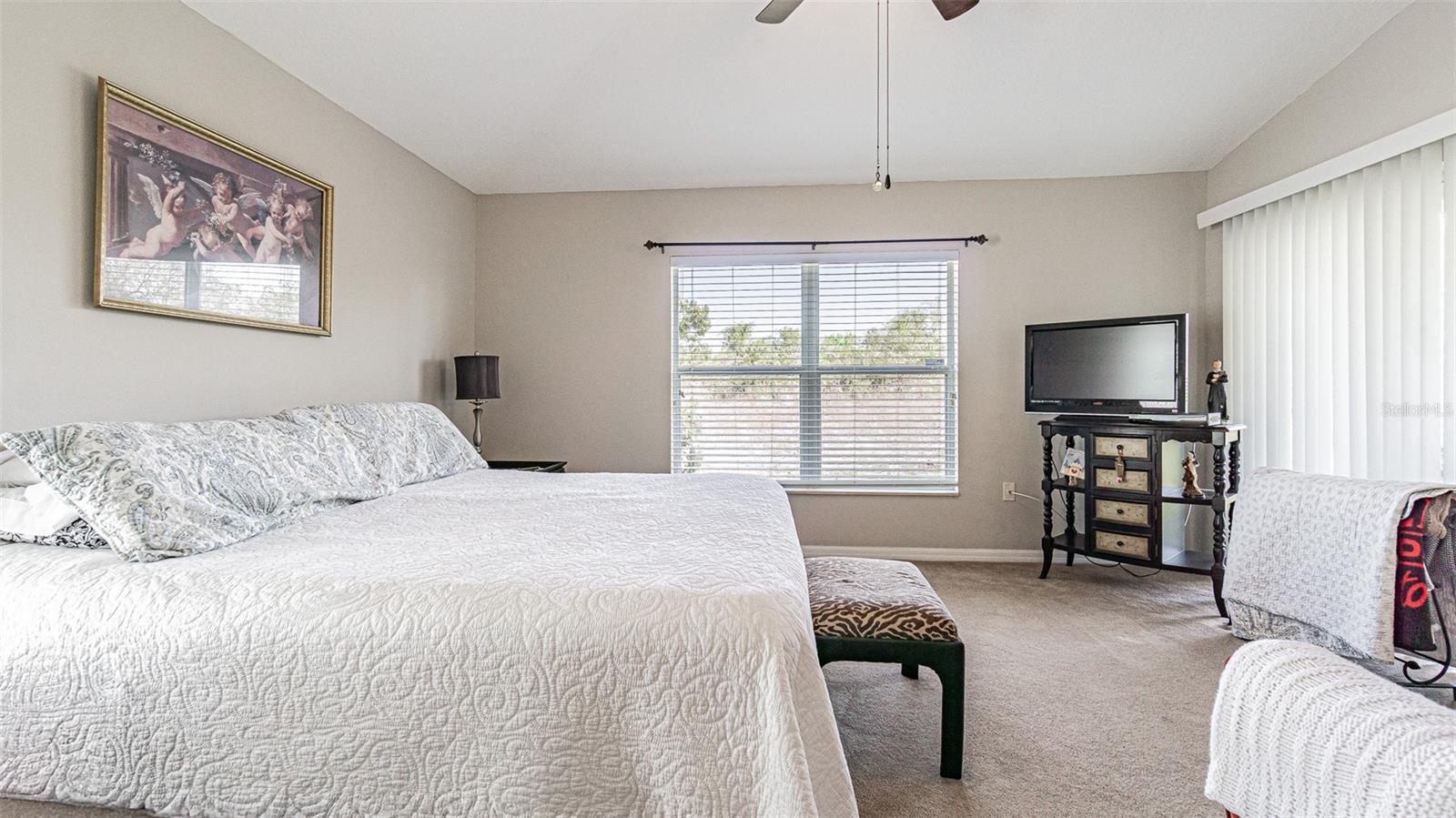 29407 SNAP HOOK DR, SAN ANTONIO, FL — photo 16