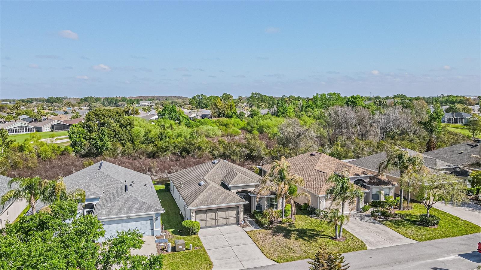 29407 SNAP HOOK DR, SAN ANTONIO, FL — photo 22