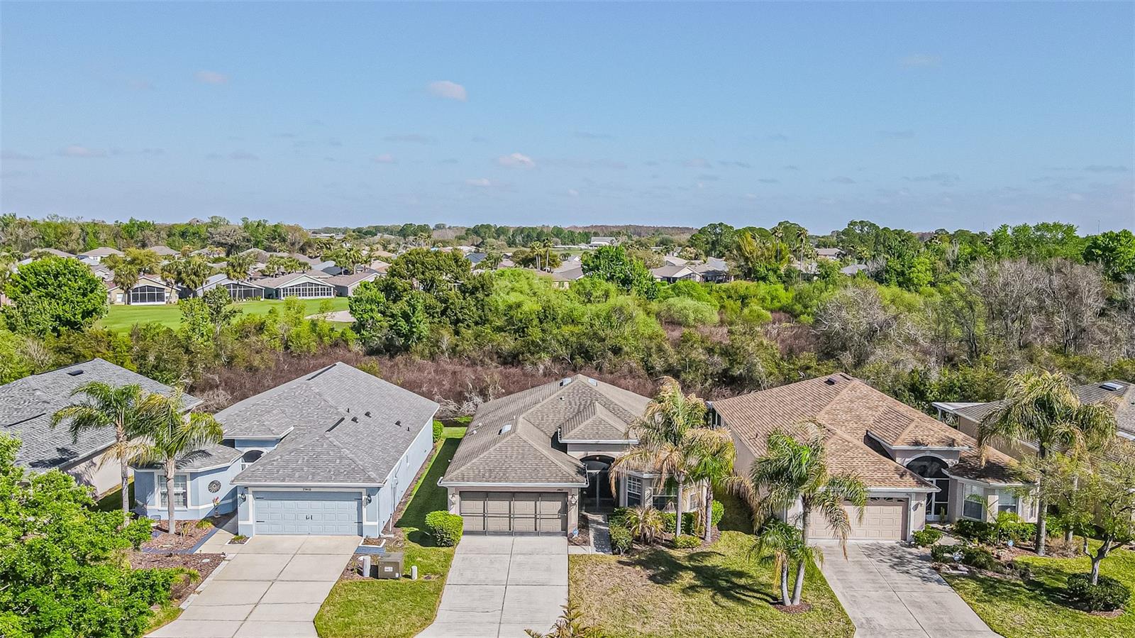 29407 SNAP HOOK DR, SAN ANTONIO, FL — photo 23