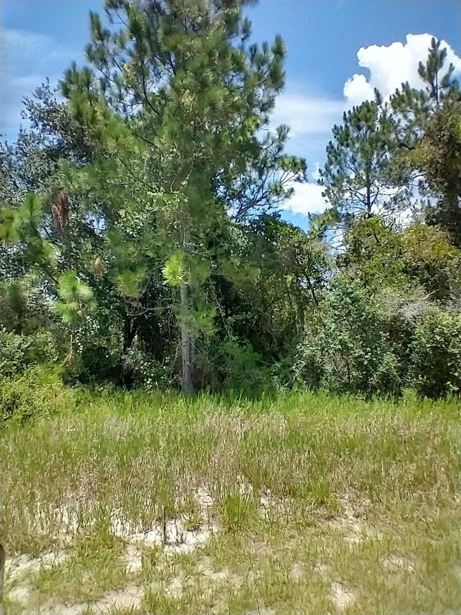 1322 TALLAHASSEE CT, KISSIMMEE, FL