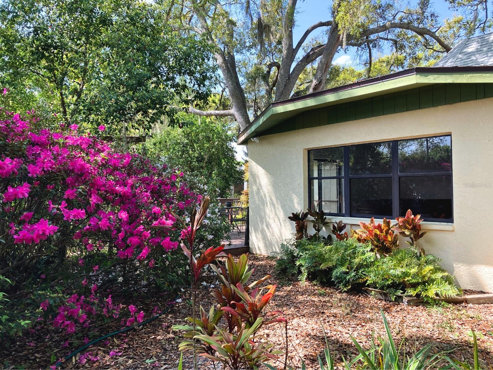 21004 NEGRIL CT, LUTZ, FL — photo 6