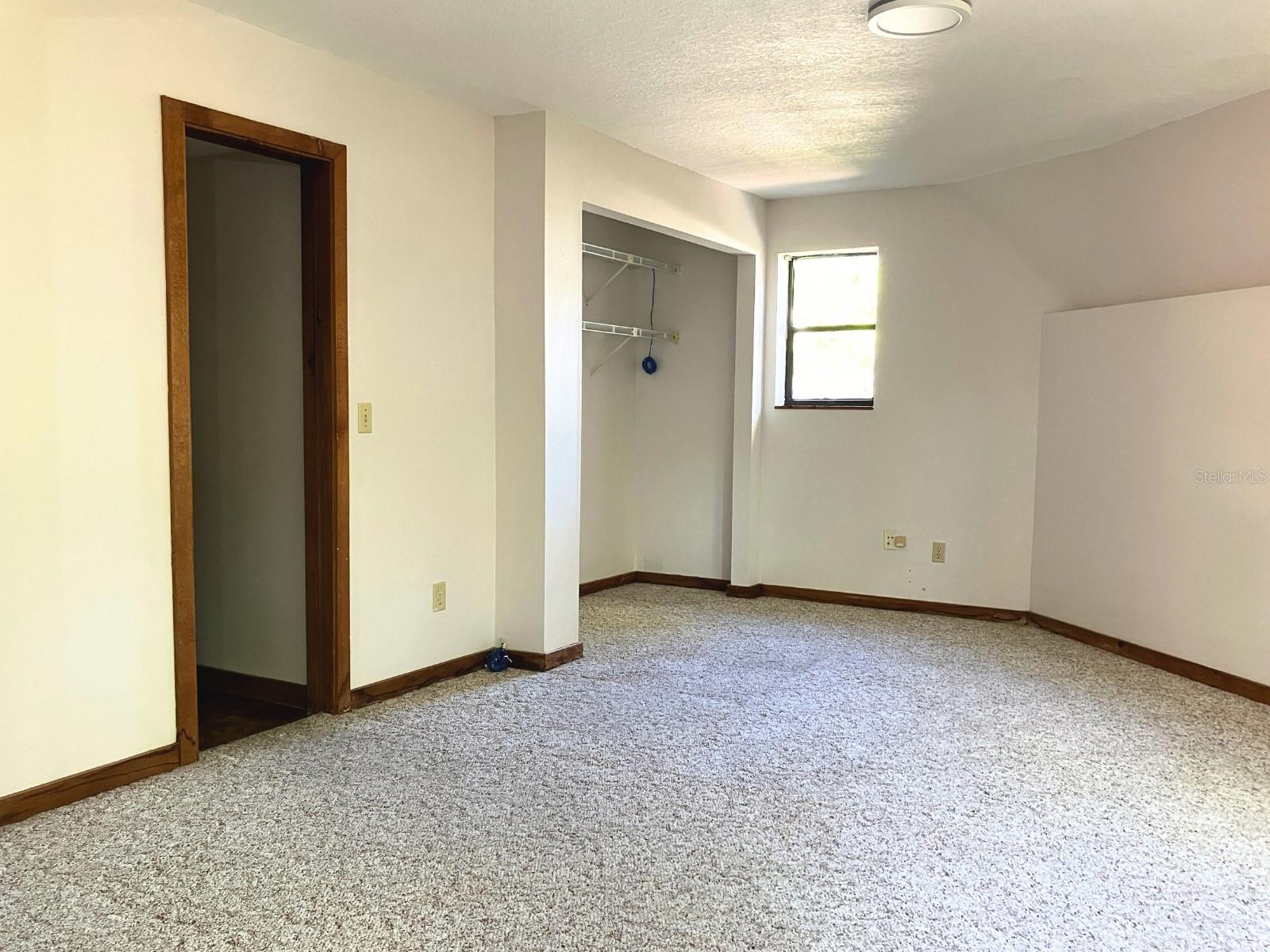 21004 NEGRIL CT, LUTZ, FL — photo 17