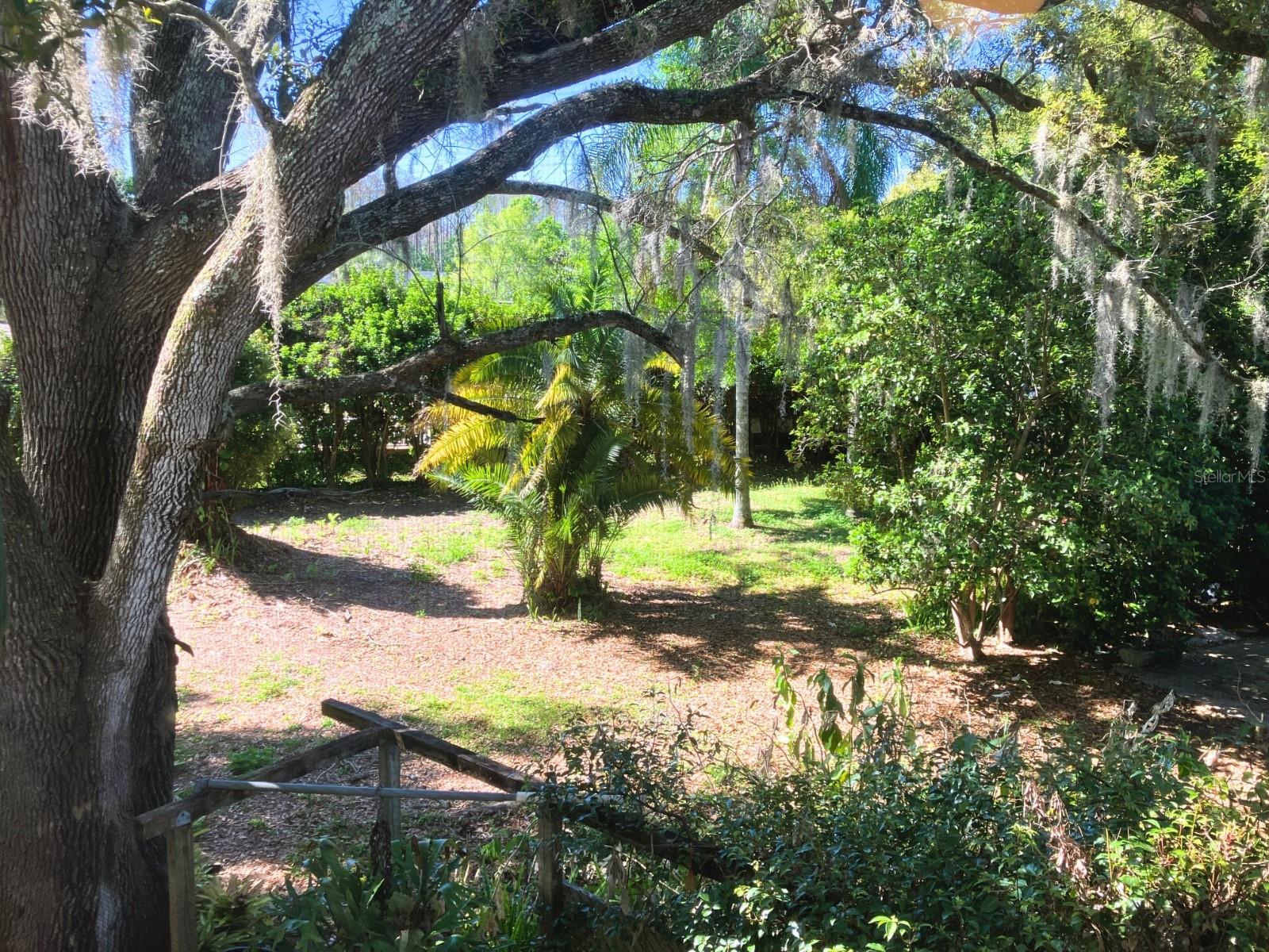 21004 NEGRIL CT, LUTZ, FL — photo 35