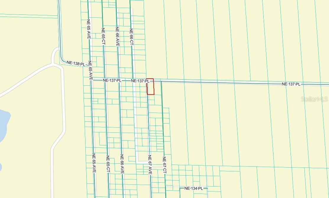 TBD NE 137TH PL, CITRA, FL — photo 3