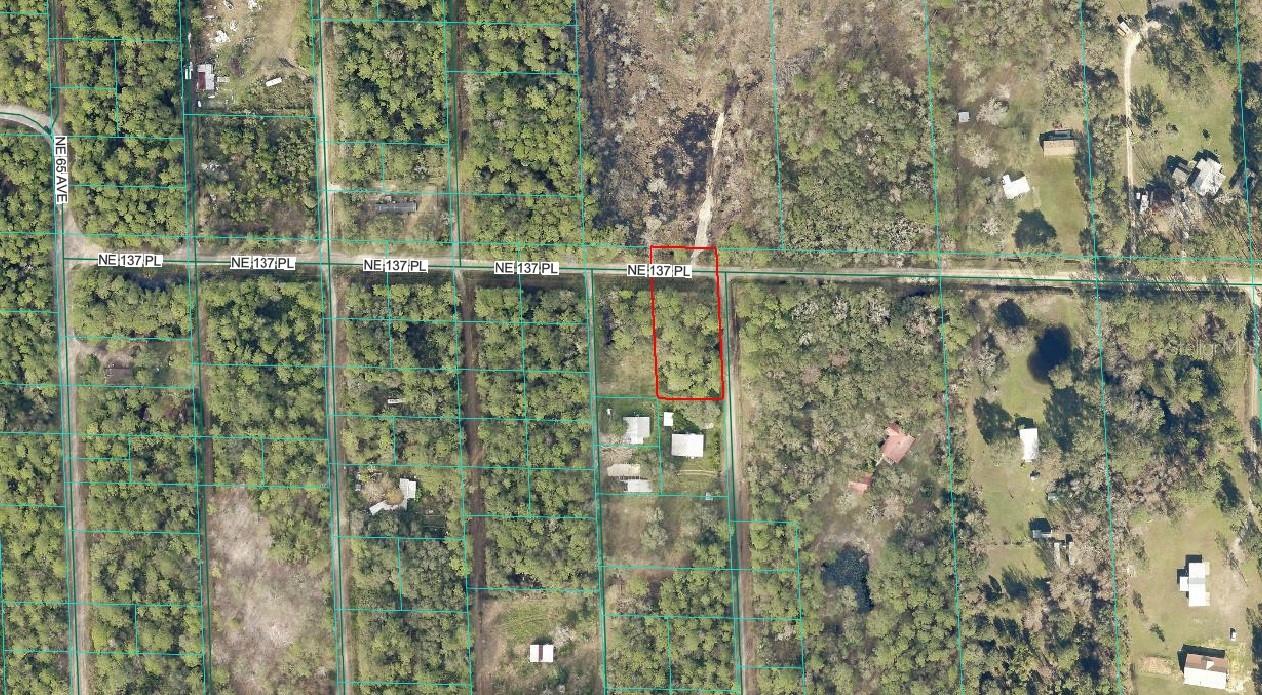TBD NE 137TH PL, CITRA, FL — photo 4