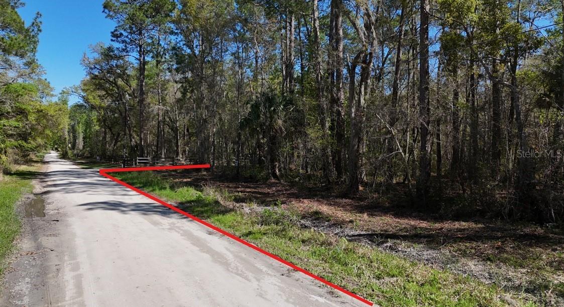 TBD NE 137TH PL, CITRA, FL — photo 8