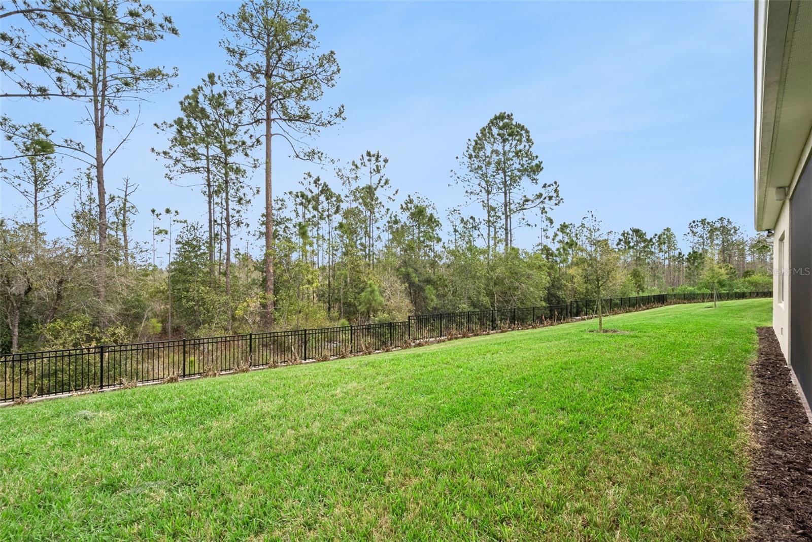 2555 PINE PRESERVE CT, ST CLOUD, FL — photo 53