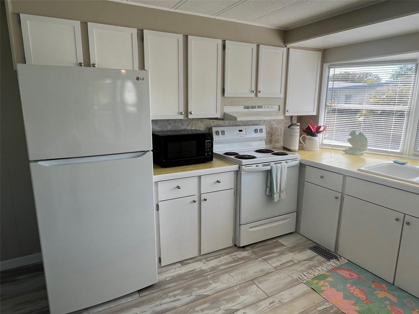 103 PINDO PALM ST W, LARGO, FL — photo 17