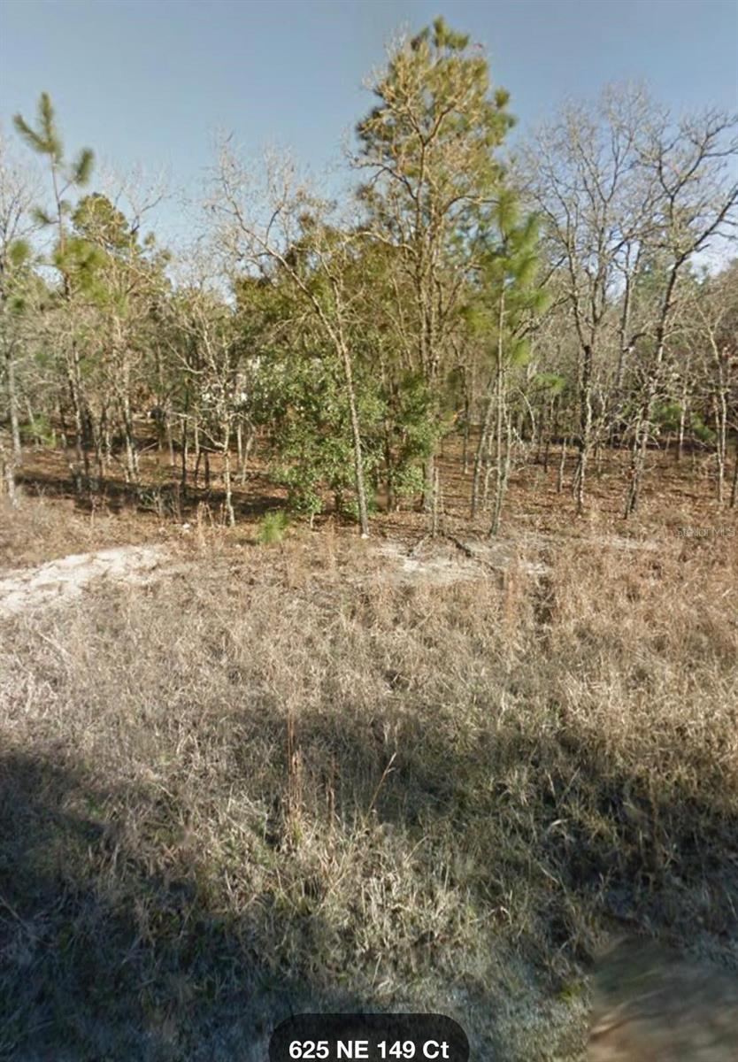 NE 149TH CT, WILLISTON, FL
