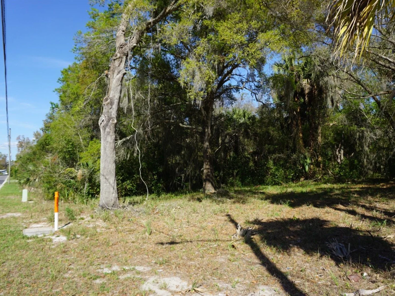 PALMETTO ST, EUSTIS, FL — photo 6