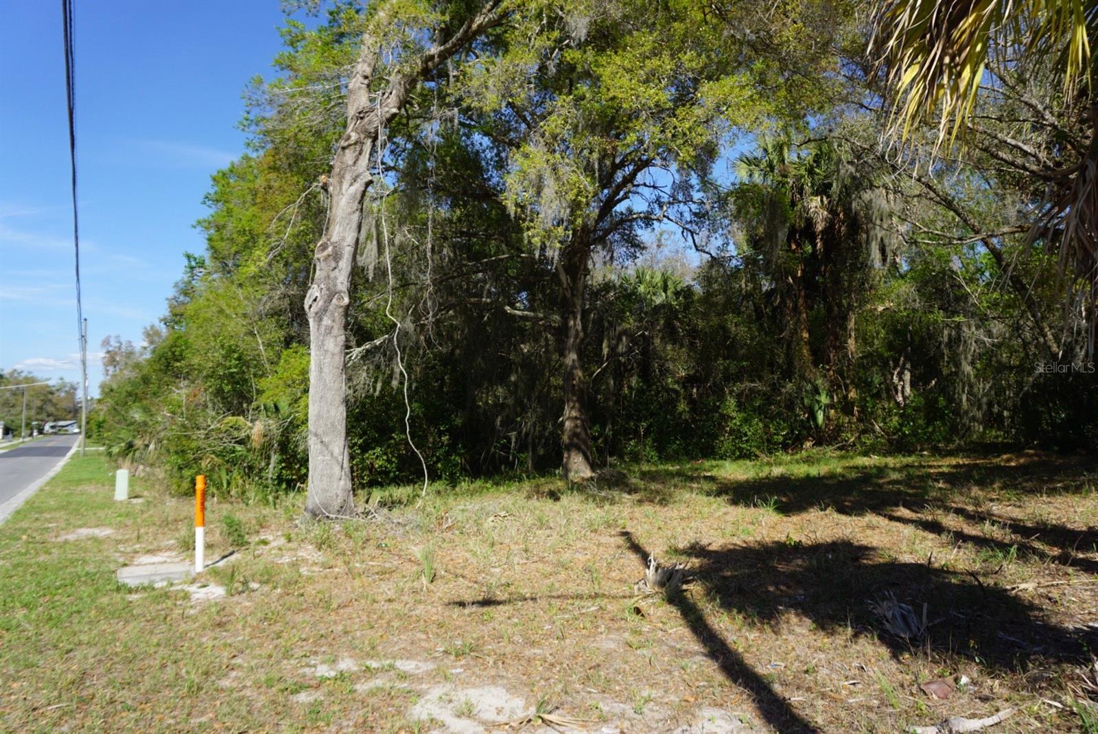PALMETTO ST, EUSTIS, FL — photo 5