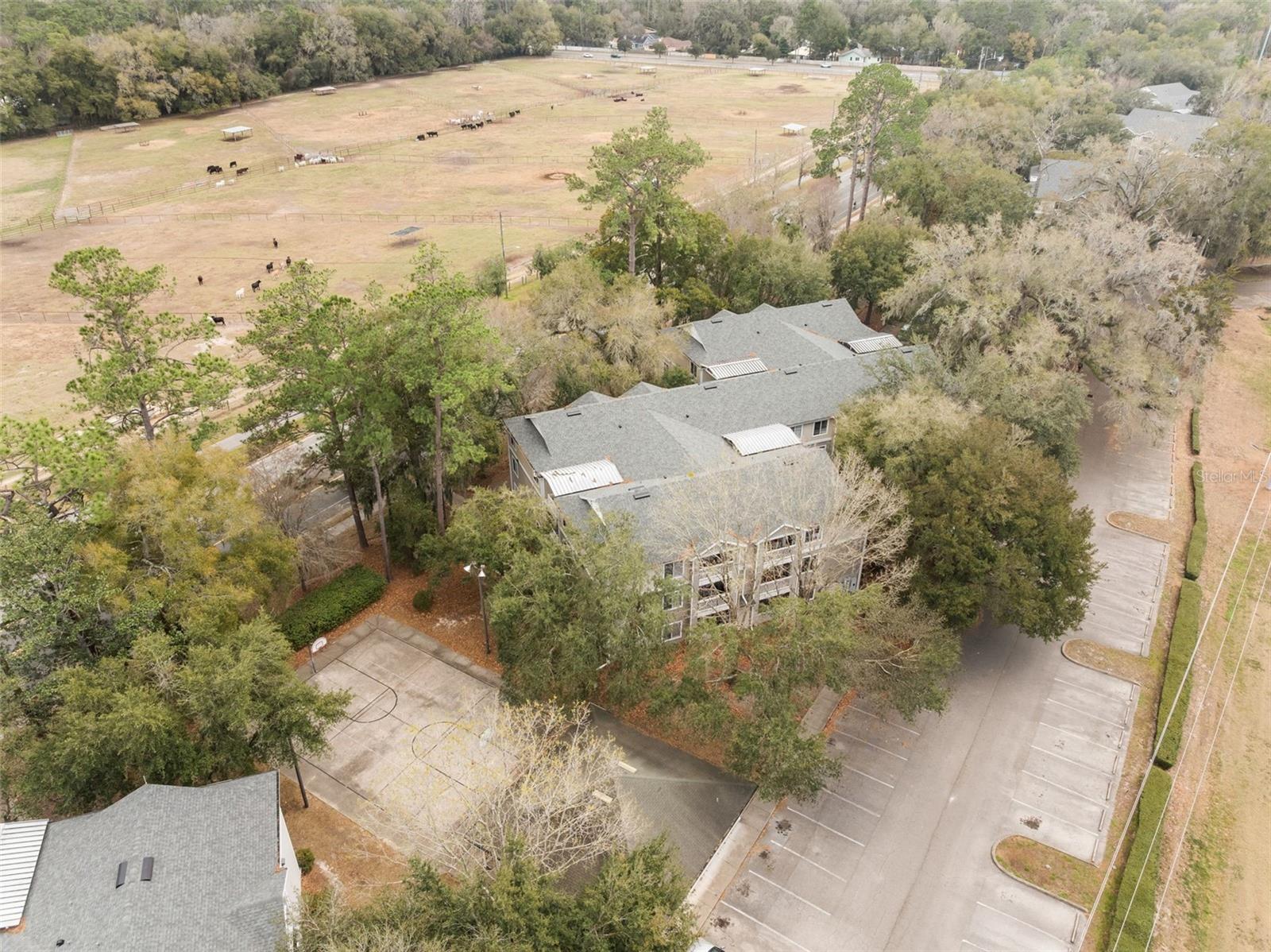4000 SW 23RD ST #4-303, GAINESVILLE, FL — photo 42