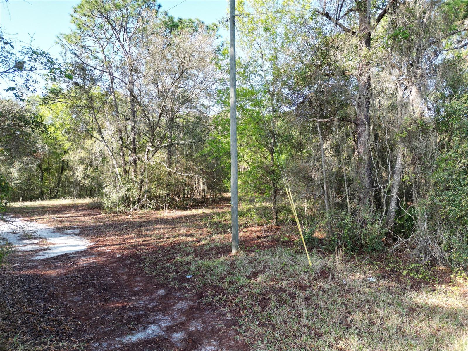 0000 E HWY 25, BELLEVIEW, FL — photo 2