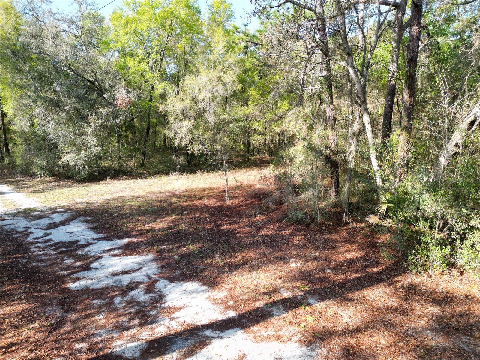 0000 E HWY 25, BELLEVIEW, FL — photo 3