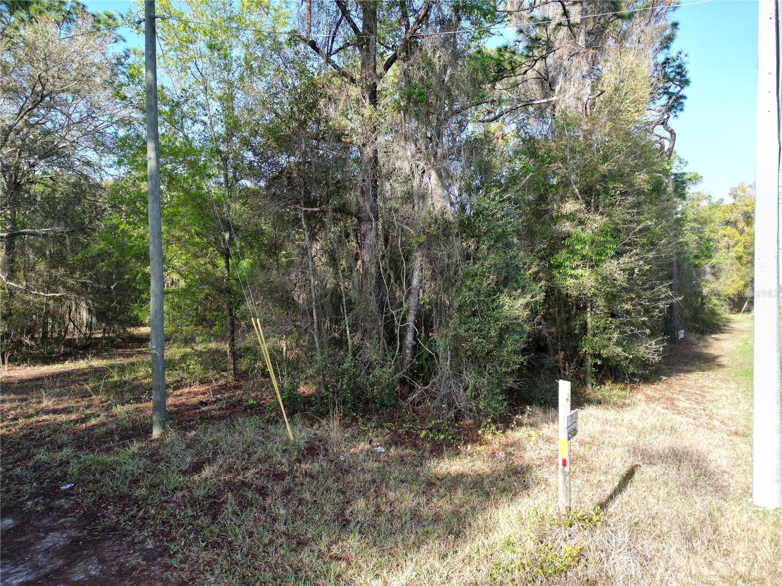 0000 E HWY 25, BELLEVIEW, FL — photo 7