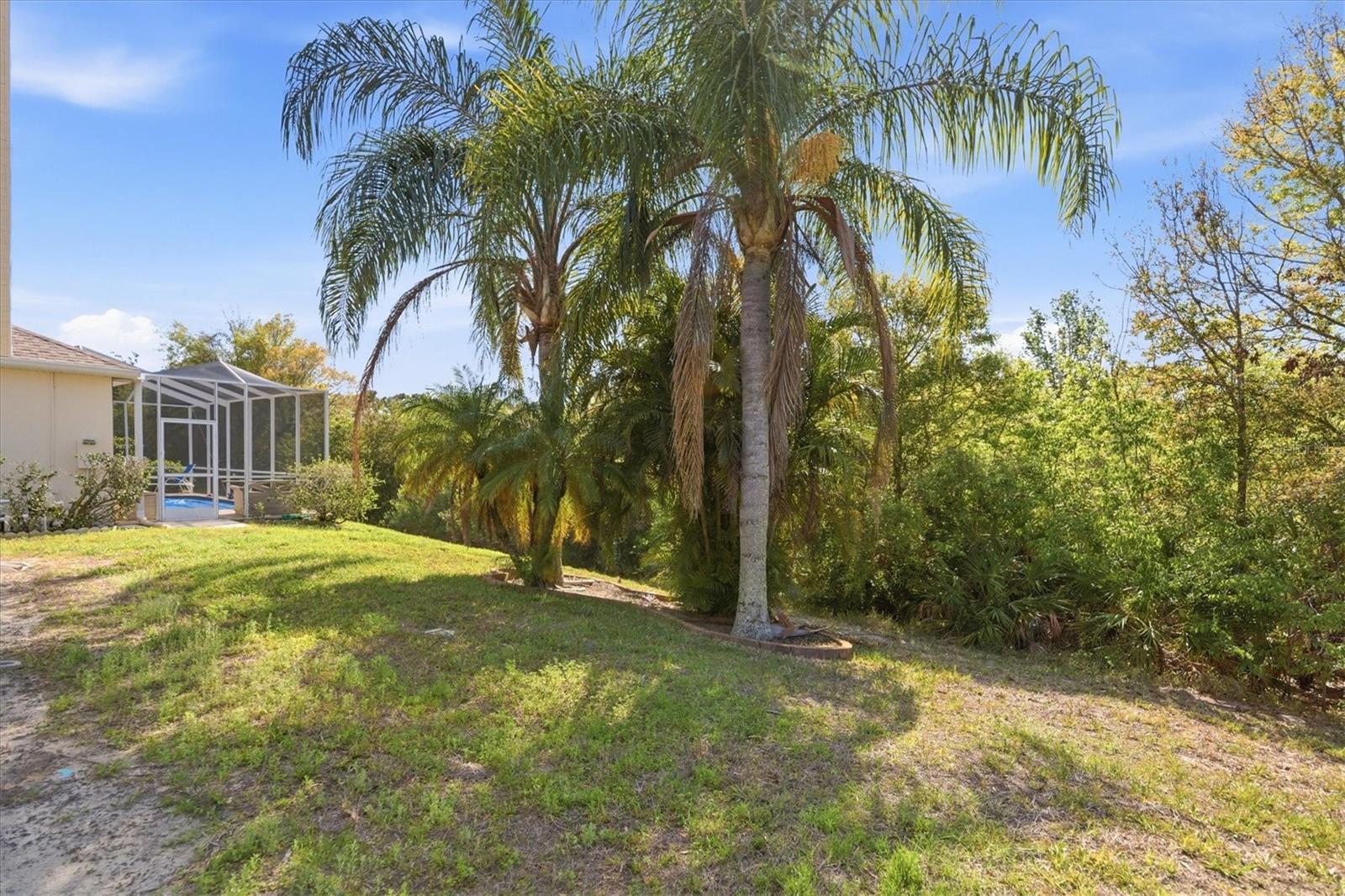 2211 PLEASANT HILL LN, HOLIDAY, FL — photo 34