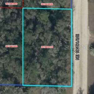 Lot 2 NE 160TH AVE, WILLISTON, FL