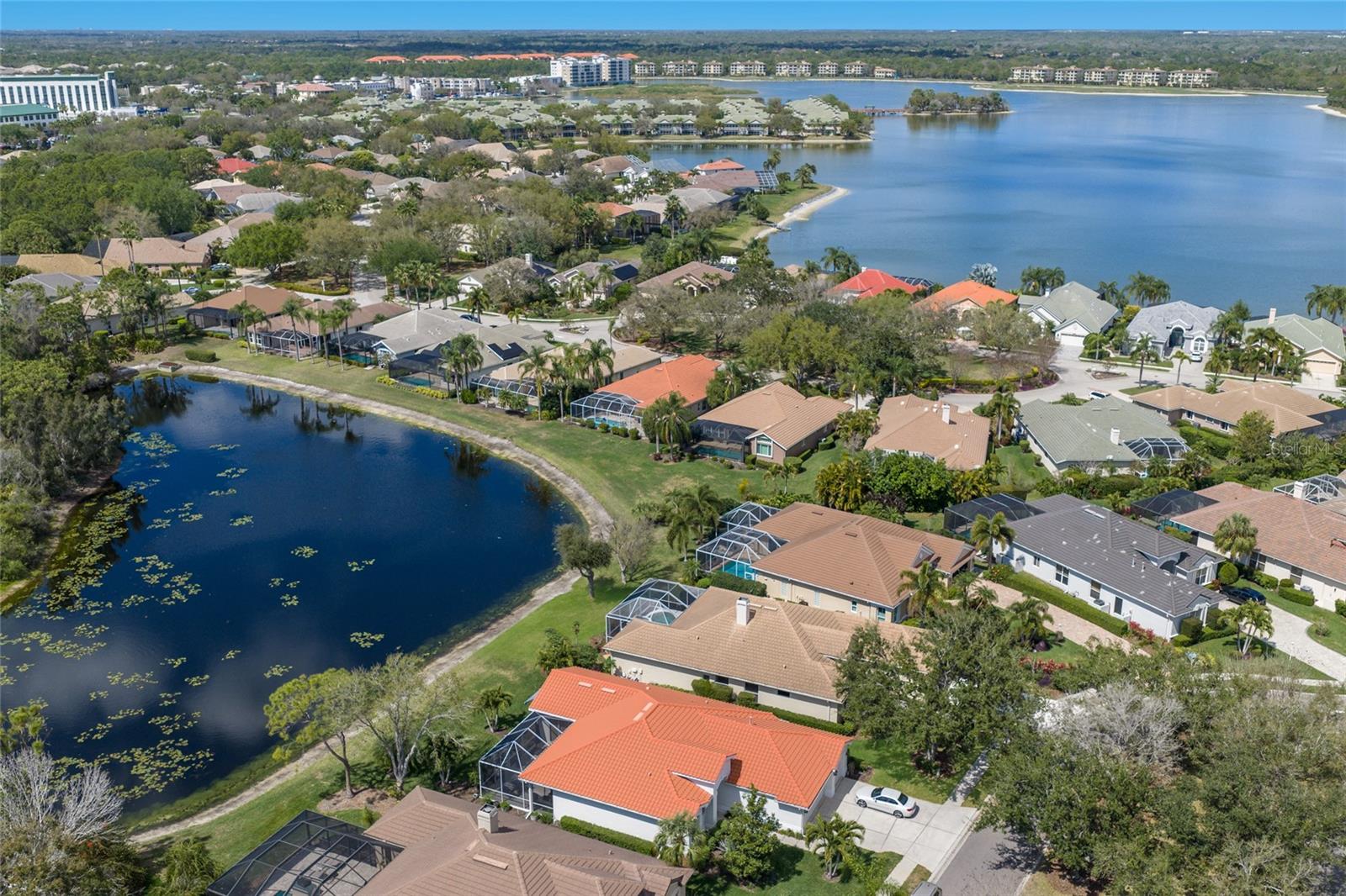 8428 MISTY MORNING CT, LAKEWOOD RANCH, FL — photo 41
