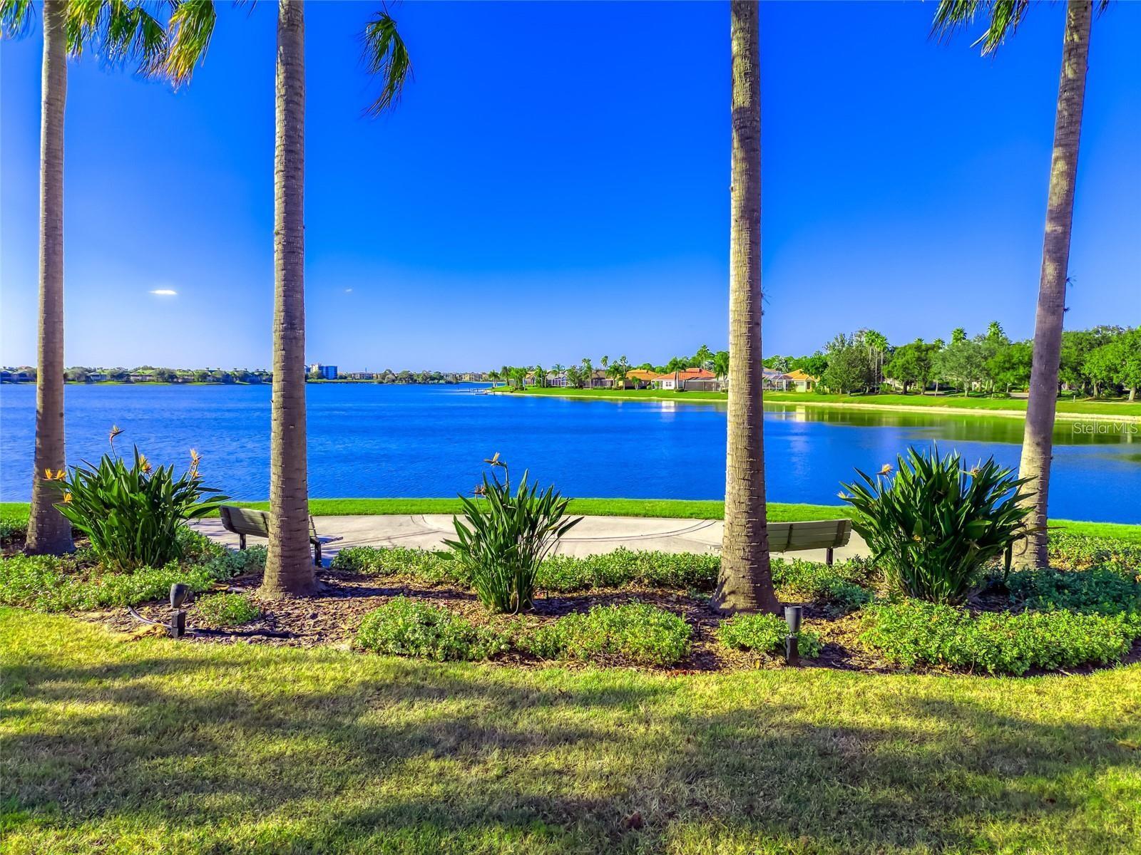 8428 MISTY MORNING CT, LAKEWOOD RANCH, FL — photo 49