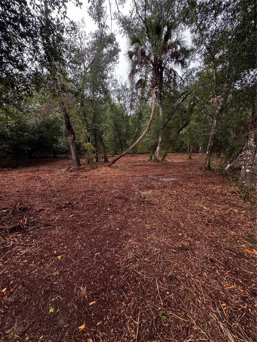 17432 INGLEWOOD AVE, PORT CHARLOTTE, FL — photo 4