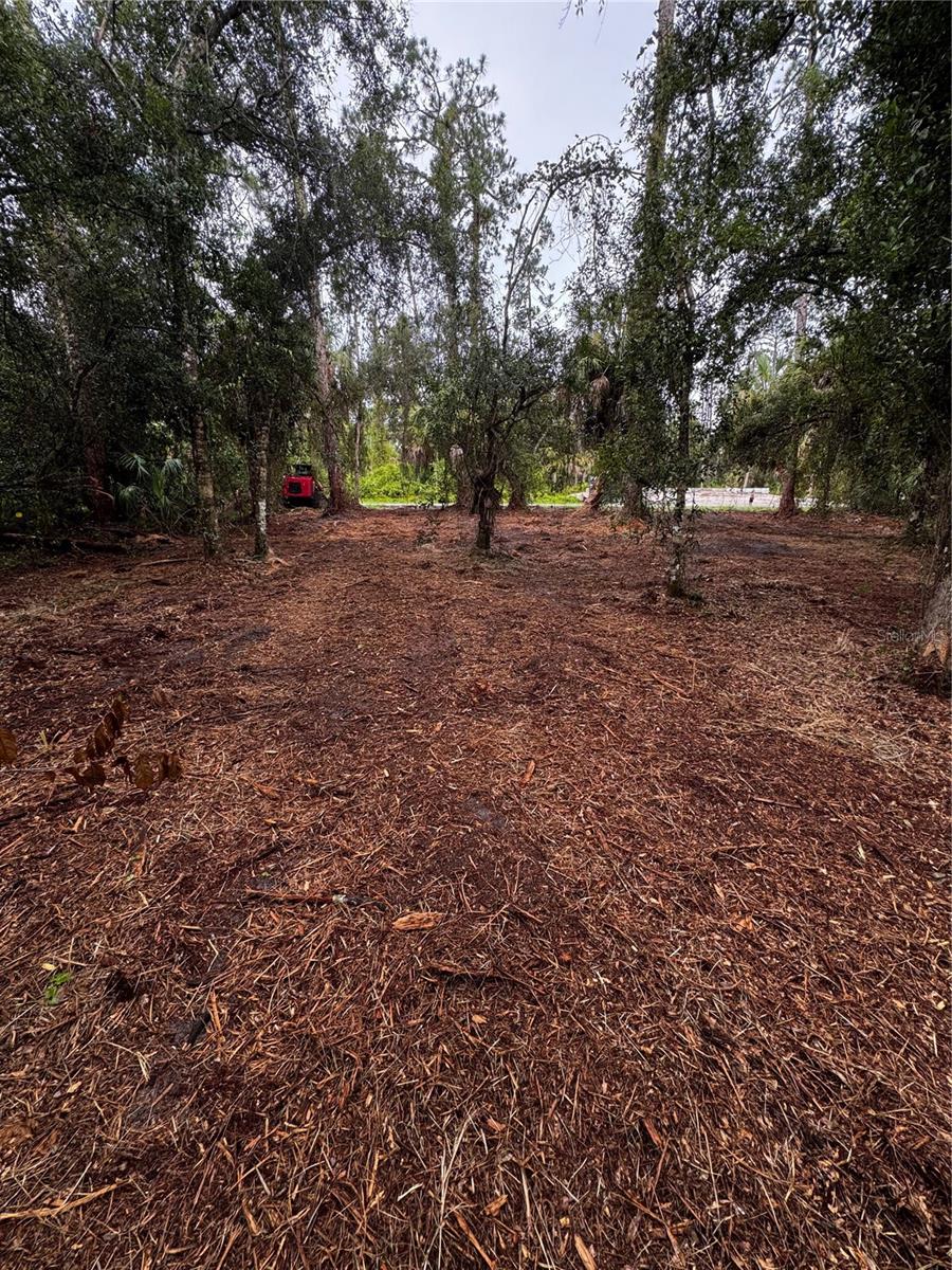 17432 INGLEWOOD AVE, PORT CHARLOTTE, FL — photo 8