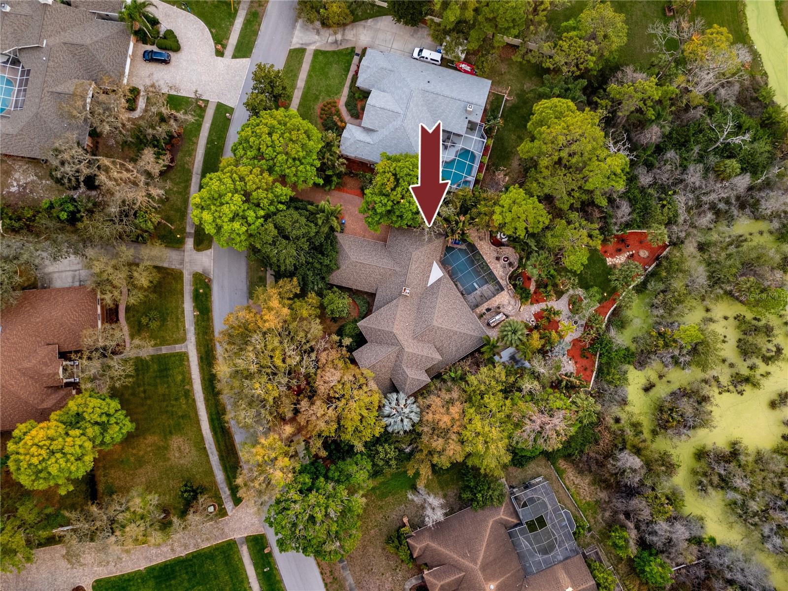 2780 LONG PUTT CT, PALM HARBOR, FL — photo 82