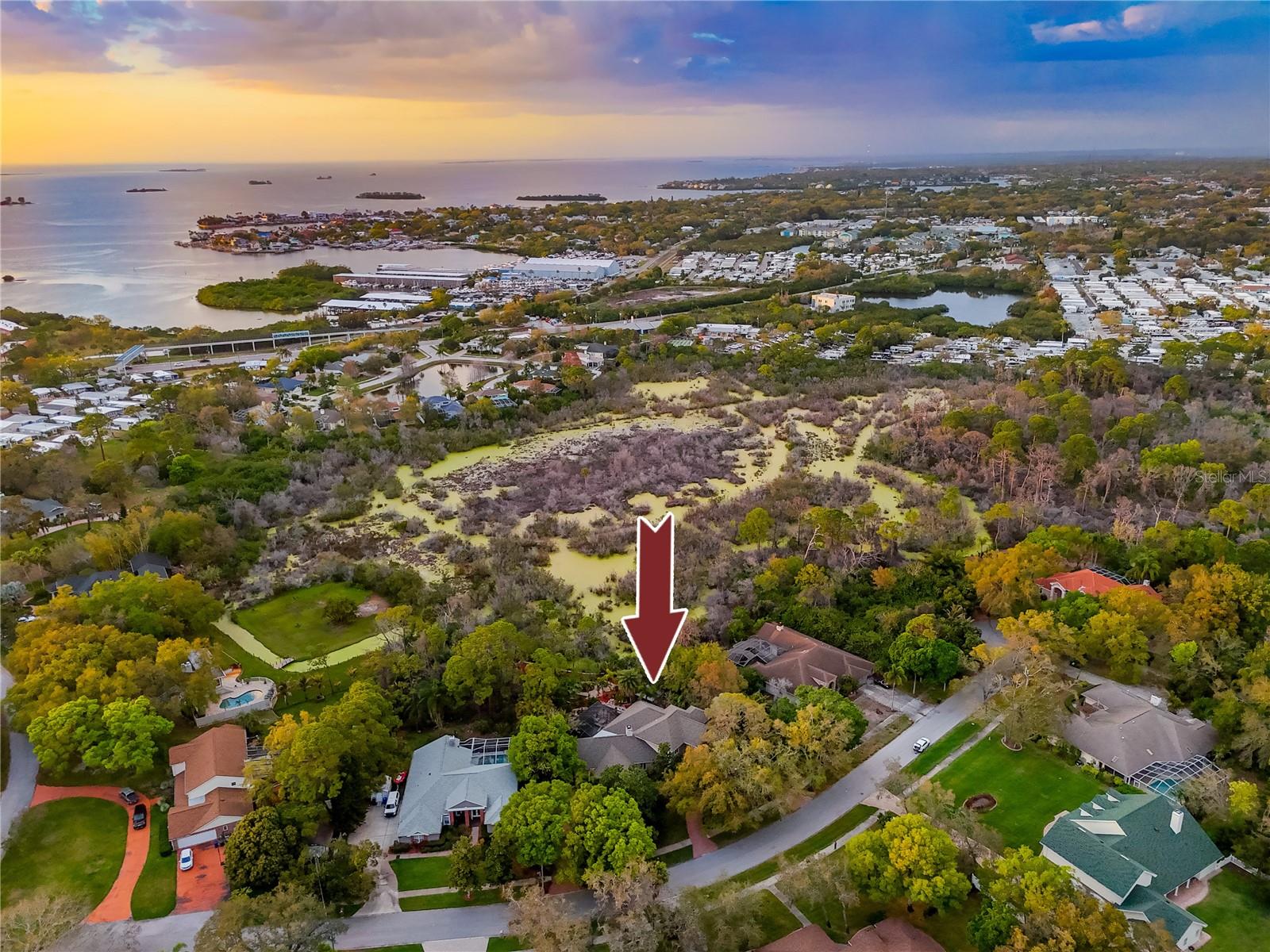 2780 LONG PUTT CT, PALM HARBOR, FL — photo 86