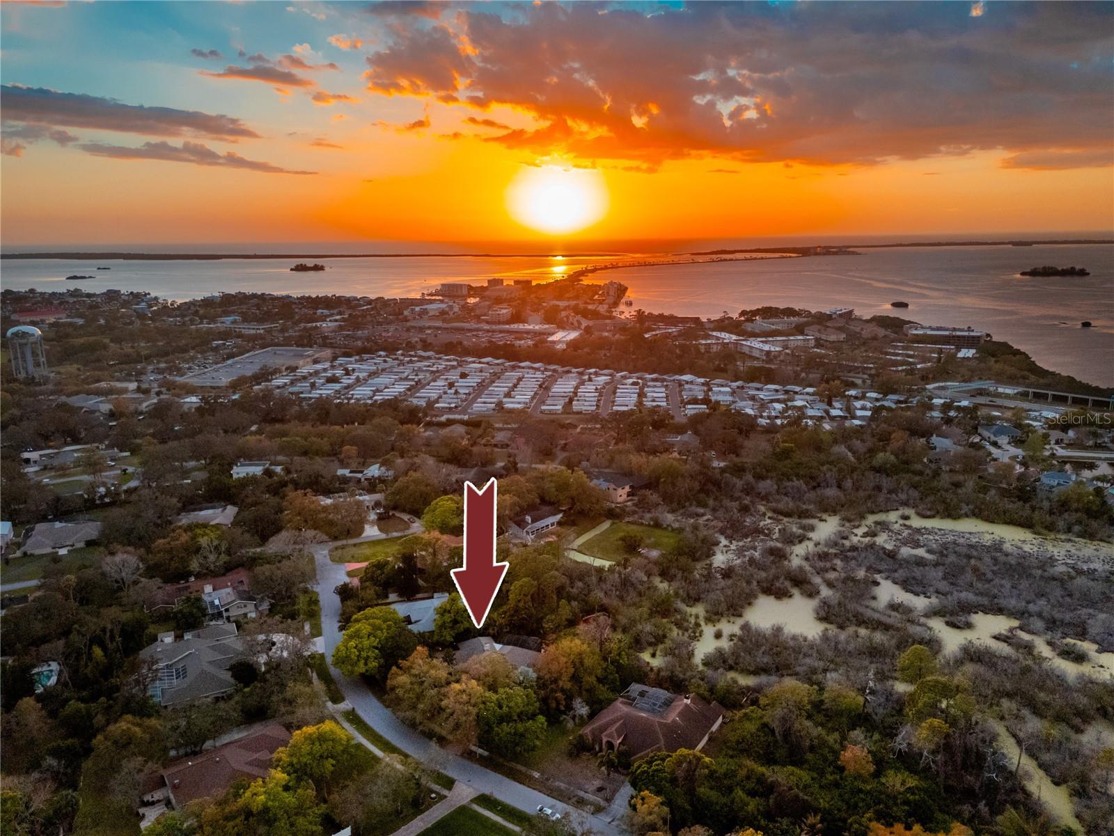 2780 LONG PUTT CT, PALM HARBOR, FL — photo 88