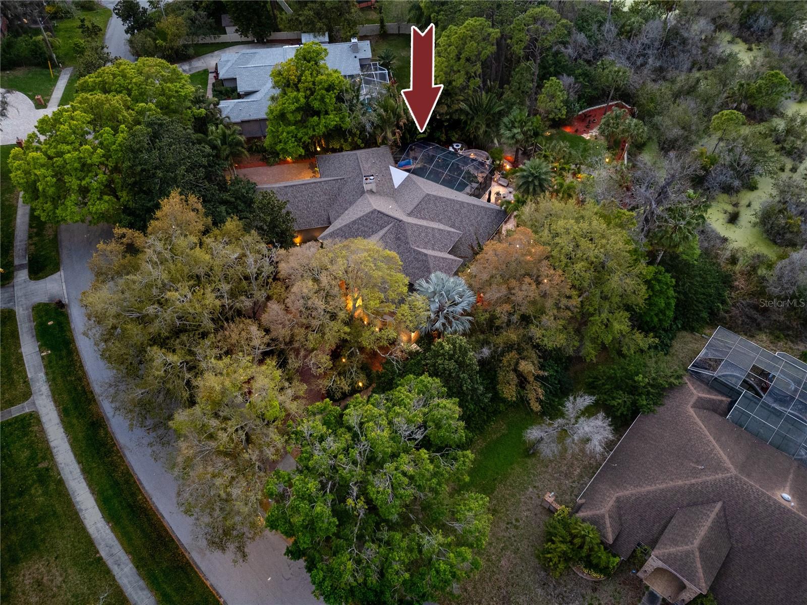 2780 LONG PUTT CT, PALM HARBOR, FL — photo 89