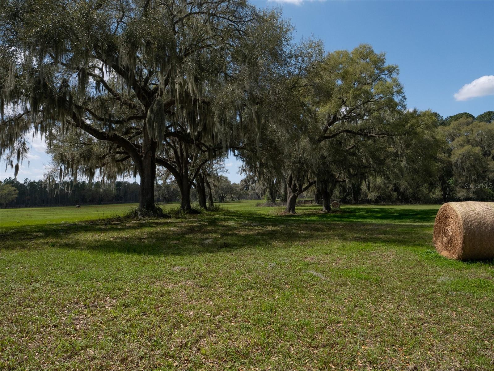 1100 SW 110TH AVE, OCALA, FL — photo 8