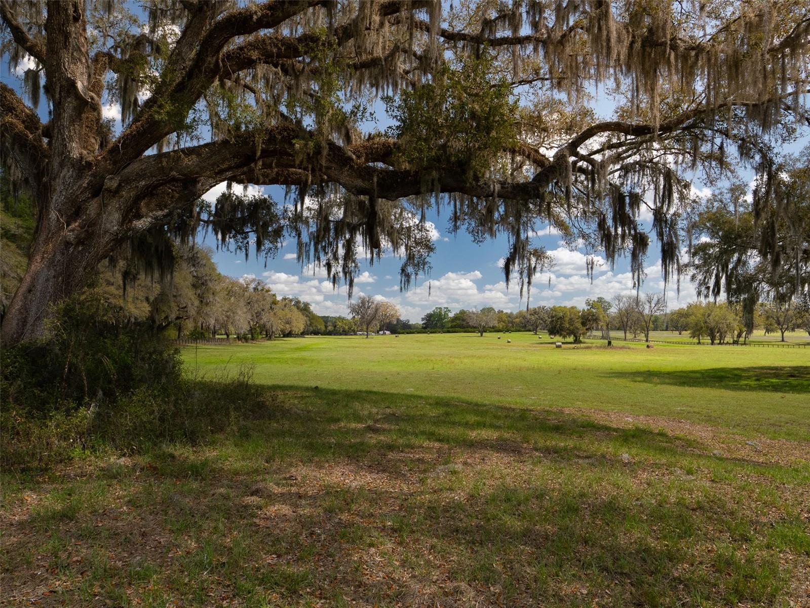 1100 SW 110TH AVE, OCALA, FL — photo 9