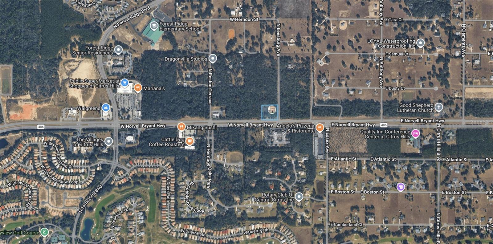 161 W NORVELL BRYANT HWY, HERNANDO, FL — photo 2