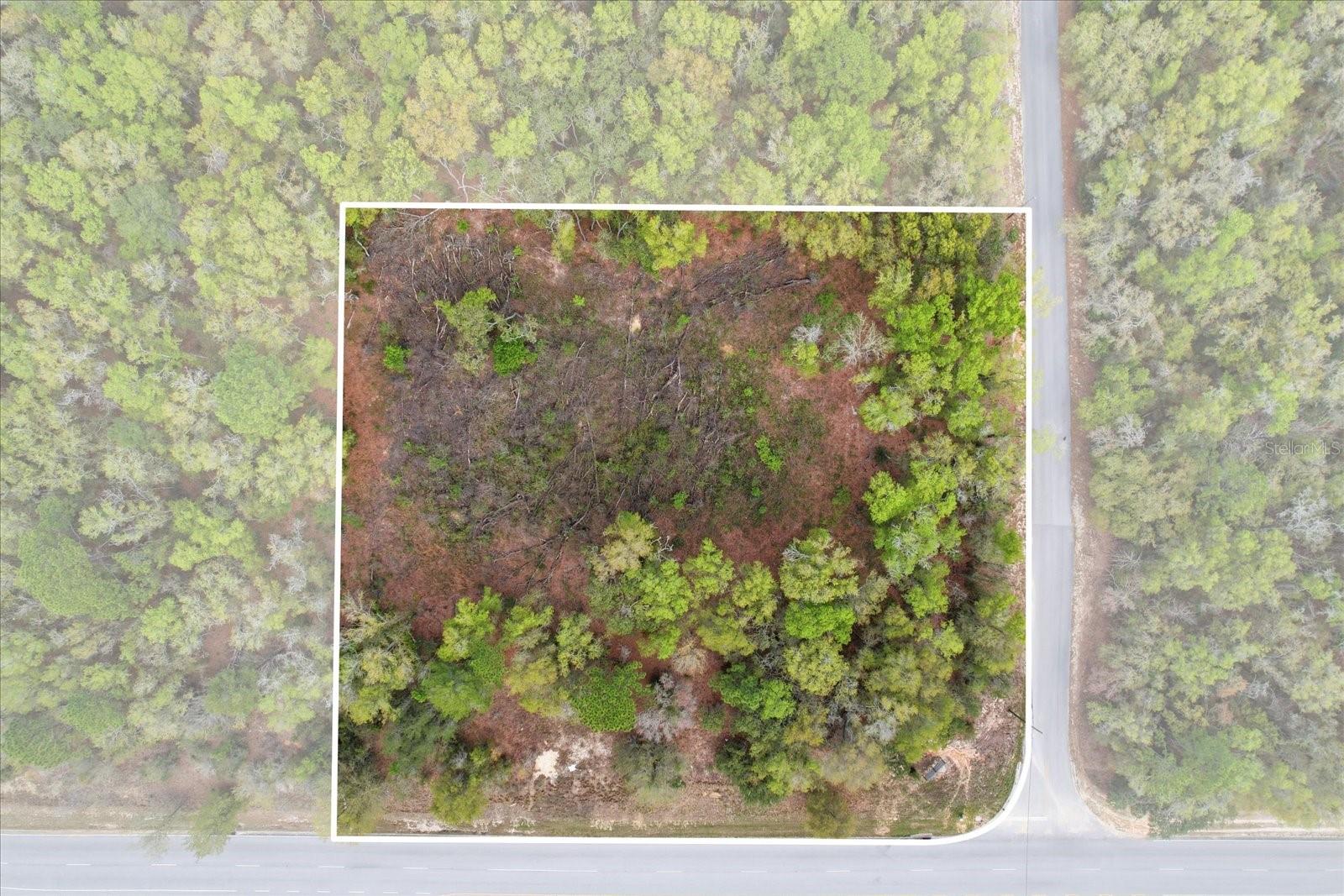 161 W NORVELL BRYANT HWY, HERNANDO, FL — photo 20