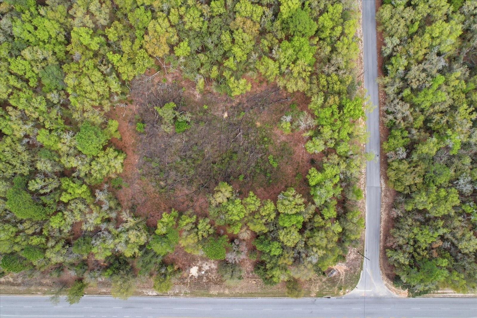 161 W NORVELL BRYANT HWY, HERNANDO, FL — photo 24