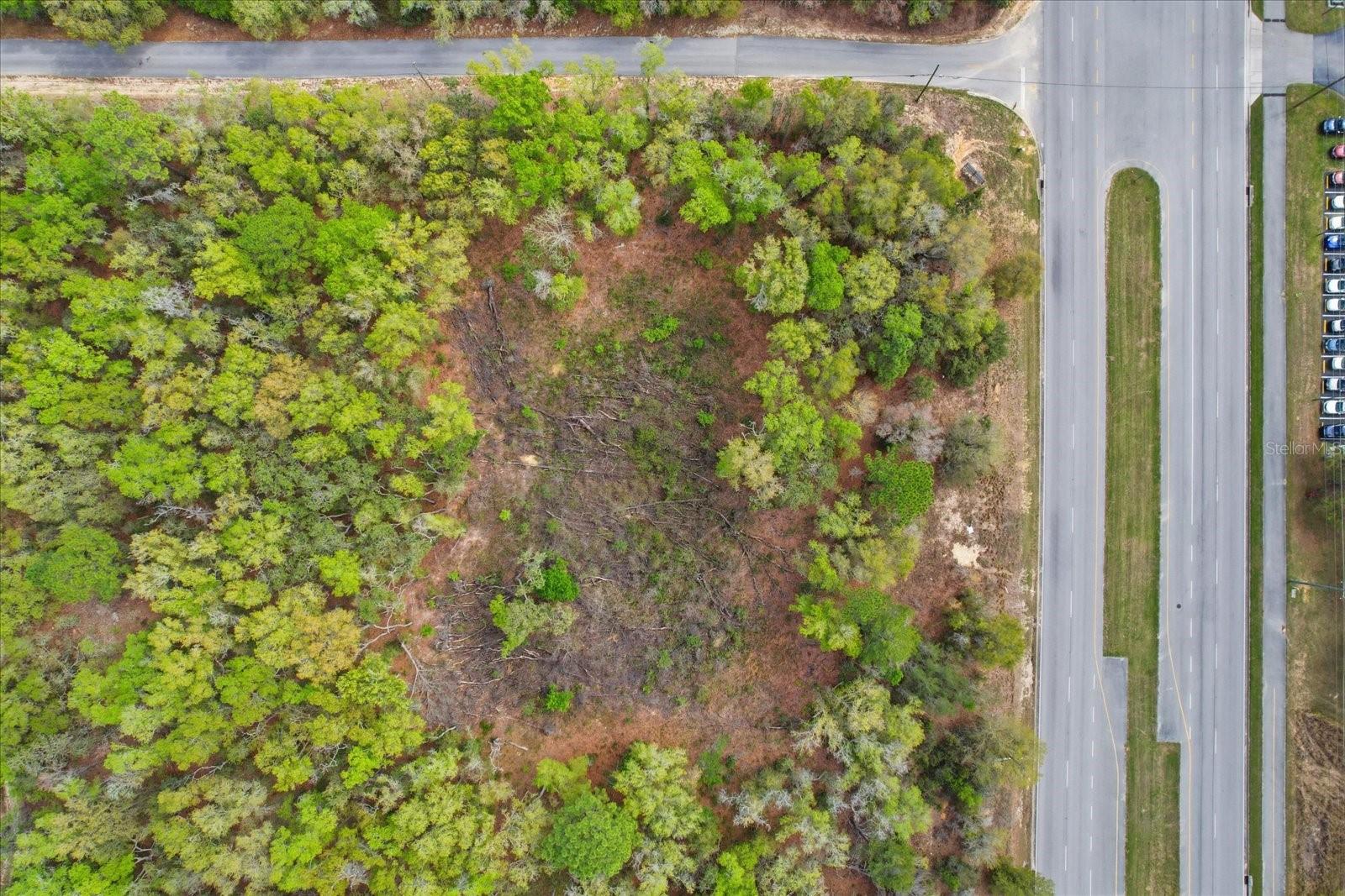 161 W NORVELL BRYANT HWY, HERNANDO, FL — photo 25
