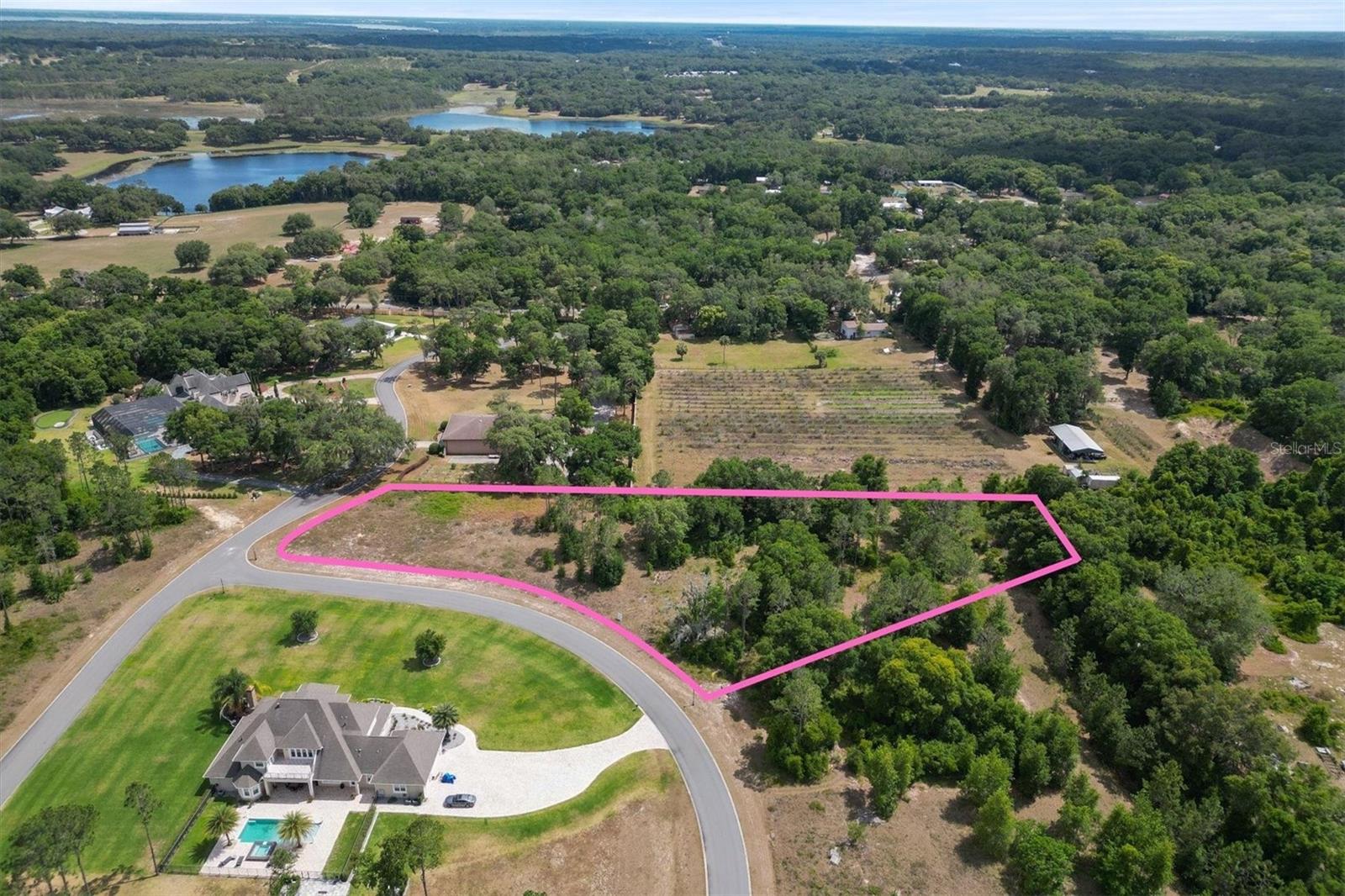 000 DARLINGTON AVE, LADY LAKE, FL