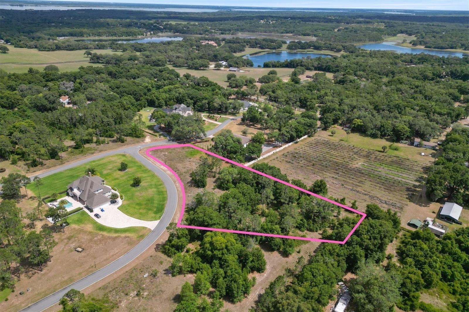 000 DARLINGTON AVE, LADY LAKE, FL — photo 9