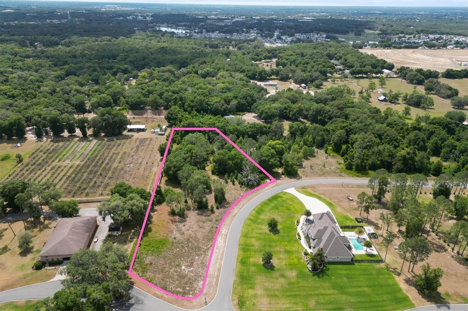 000 DARLINGTON AVE, LADY LAKE, FL — photo 11
