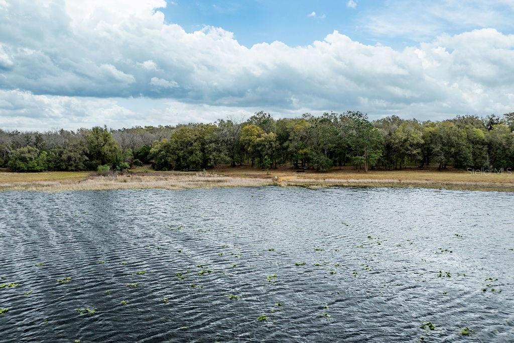FOREST  02 RD, UMATILLA, FL — photo 2