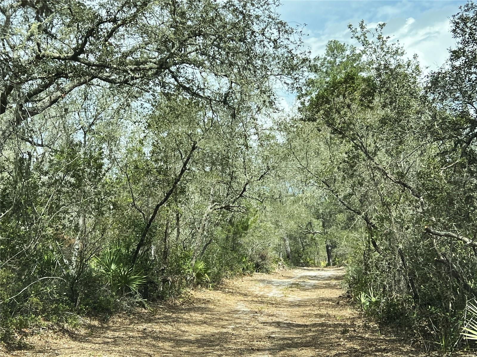 FOREST  02 RD, UMATILLA, FL — photo 3