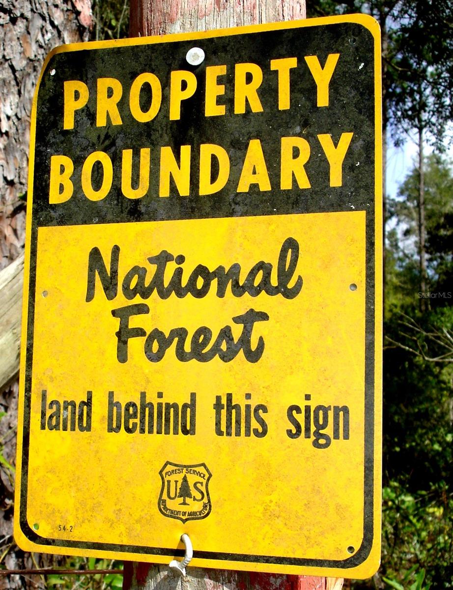 FOREST  02 RD, UMATILLA, FL — photo 5