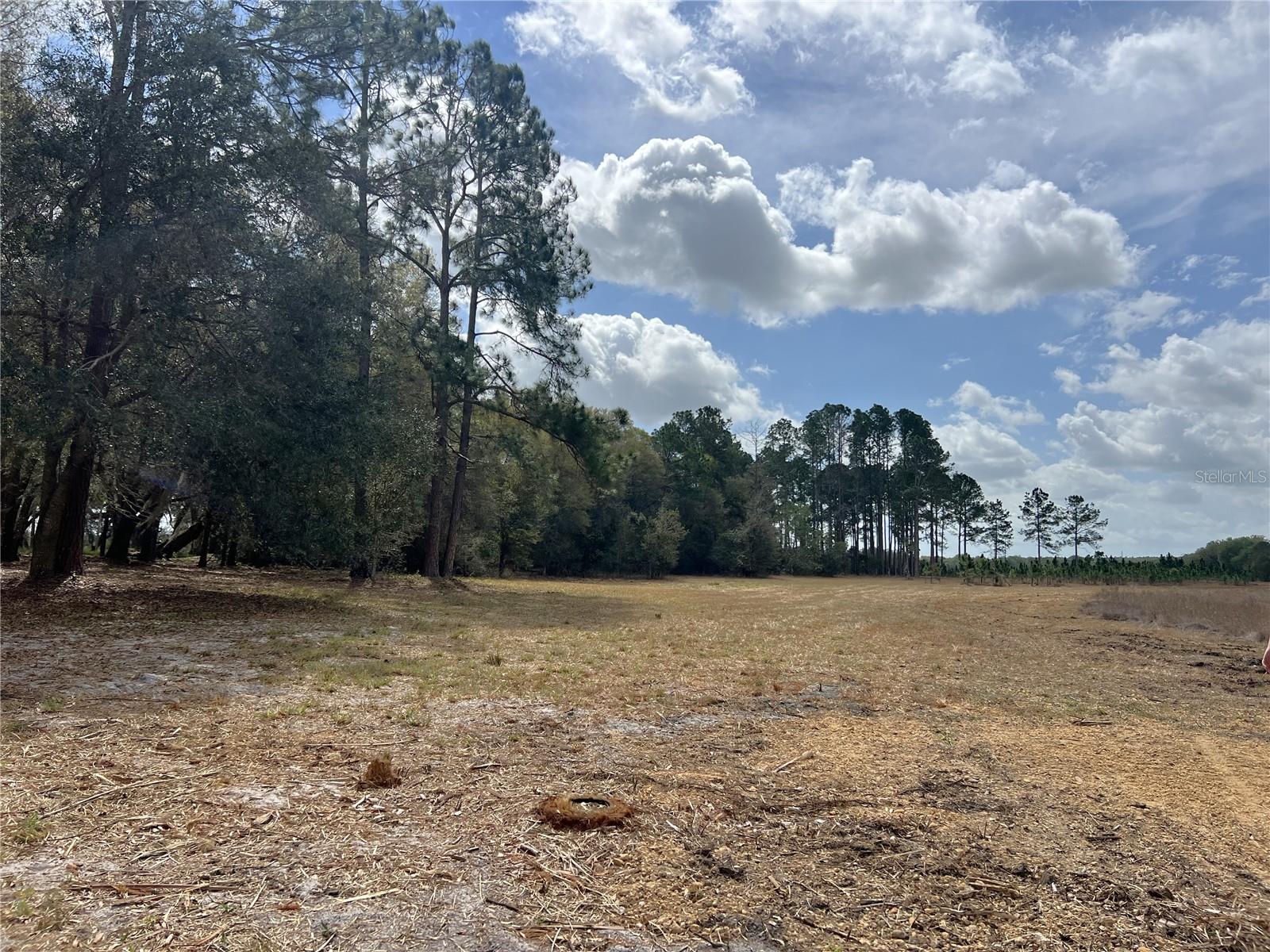 FOREST  02 RD, UMATILLA, FL — photo 14