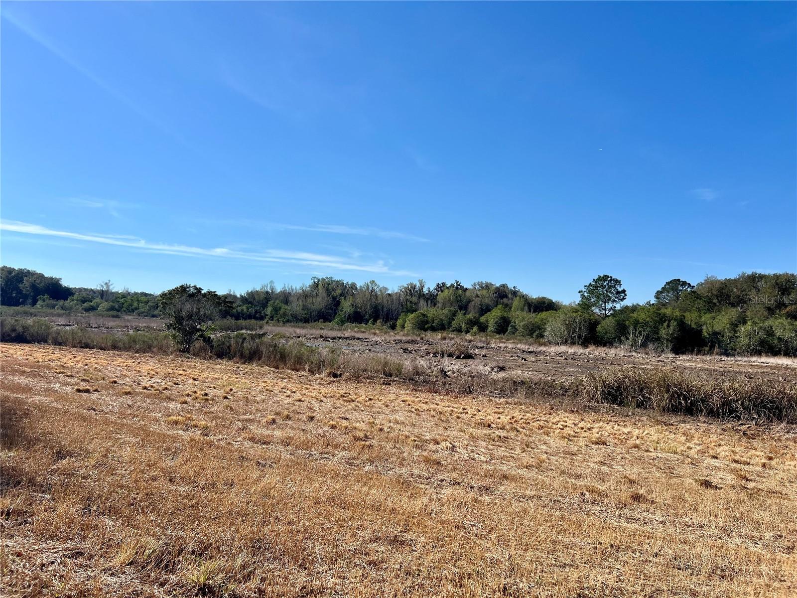 FOREST  02 RD, UMATILLA, FL — photo 10